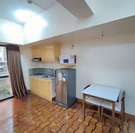 Prince Plaza Apartment & Condo Rentals Studio Type Greenbelt